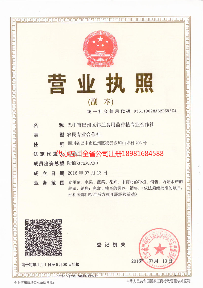 宝山宝山伟兰食用菌种植专业合作社